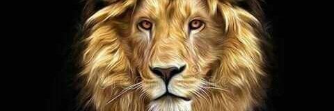 Nigga4Wisdom's profile banner image