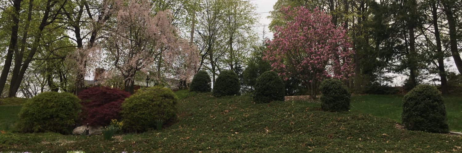 PennyMuldoon's profile banner image