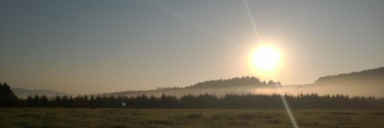 JoernDettmer83's profile banner image