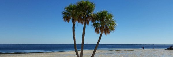 Tcampo24 Profile Banner