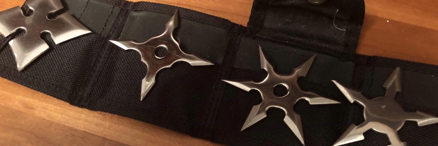 CanisMajor419's profile banner image