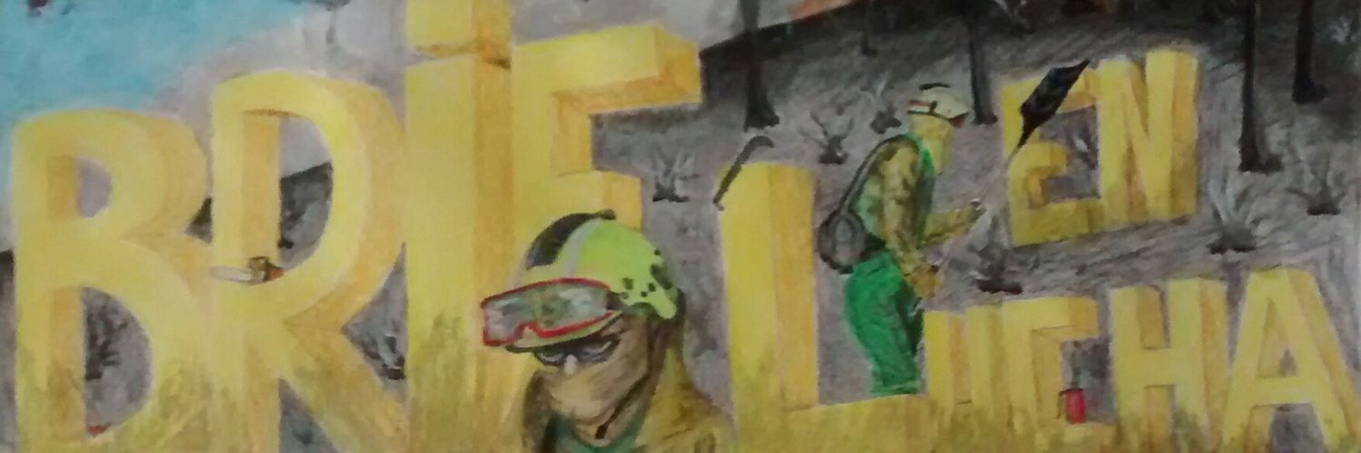 CGTBRIF's profile banner image