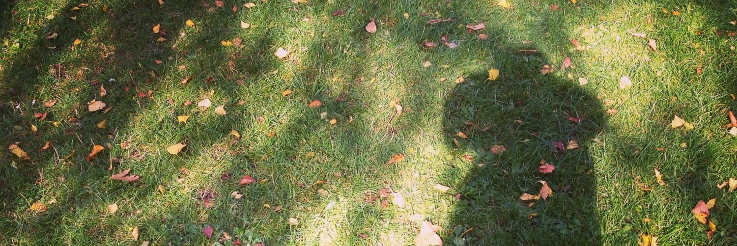 Meetcute's profile banner image