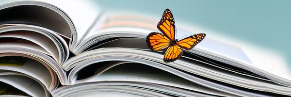 AExter_Monarch Profile Banner