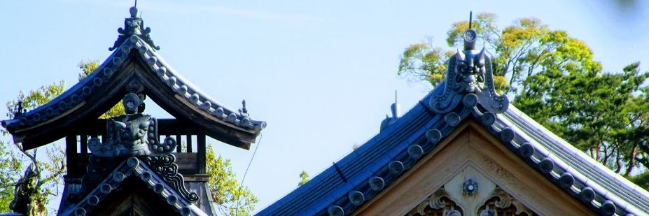 fxjohn's profile banner image