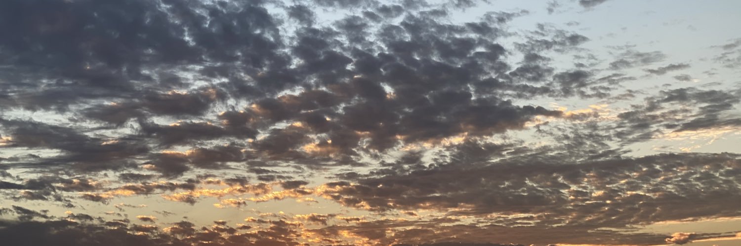 tqii_'s profile banner image