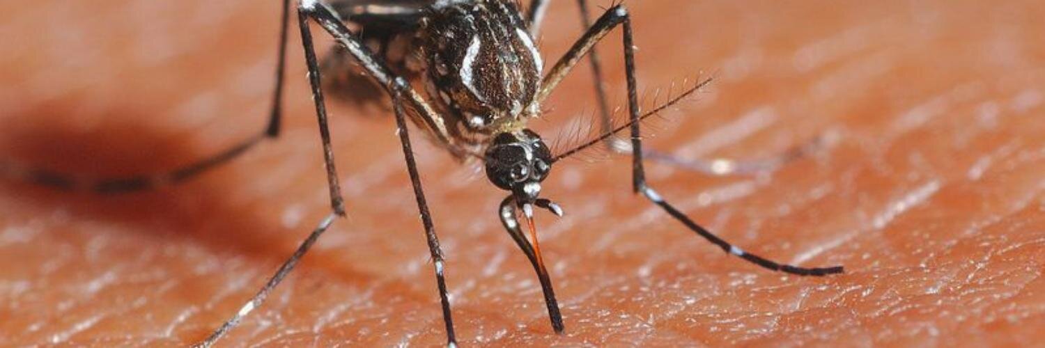 Santa Clara County Mosquito and Vector Control banner