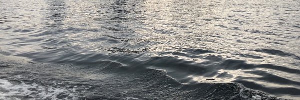 pabloherrera Profile Banner