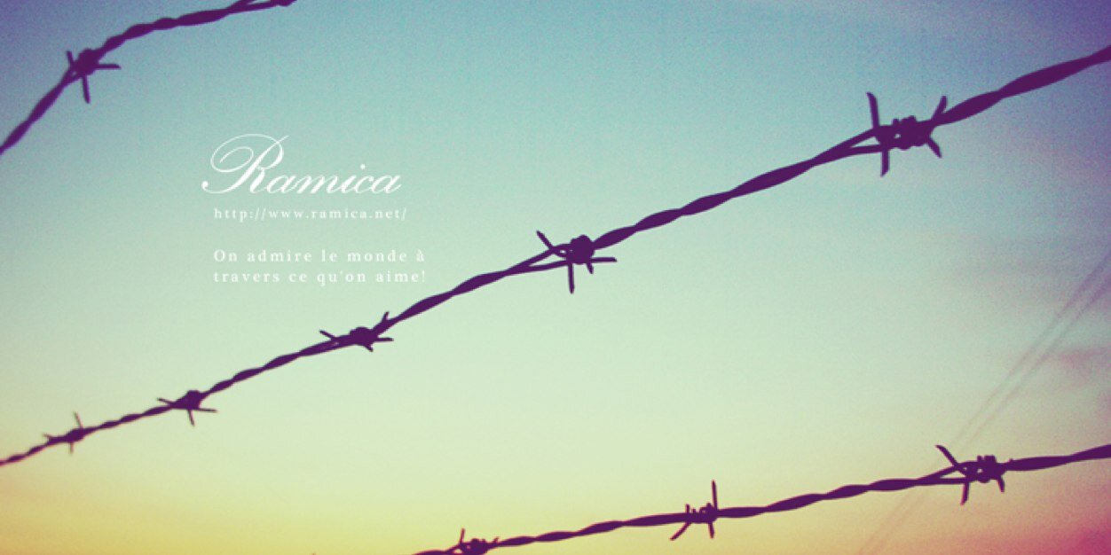 setuna_30's profile banner image