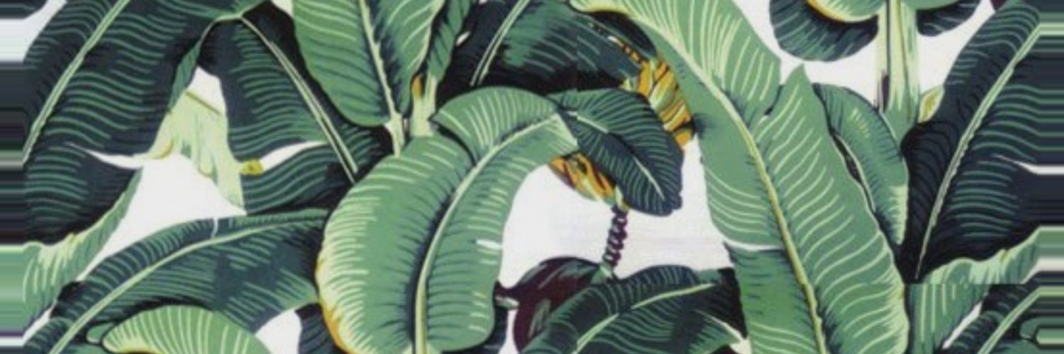 raneeey24's profile banner image