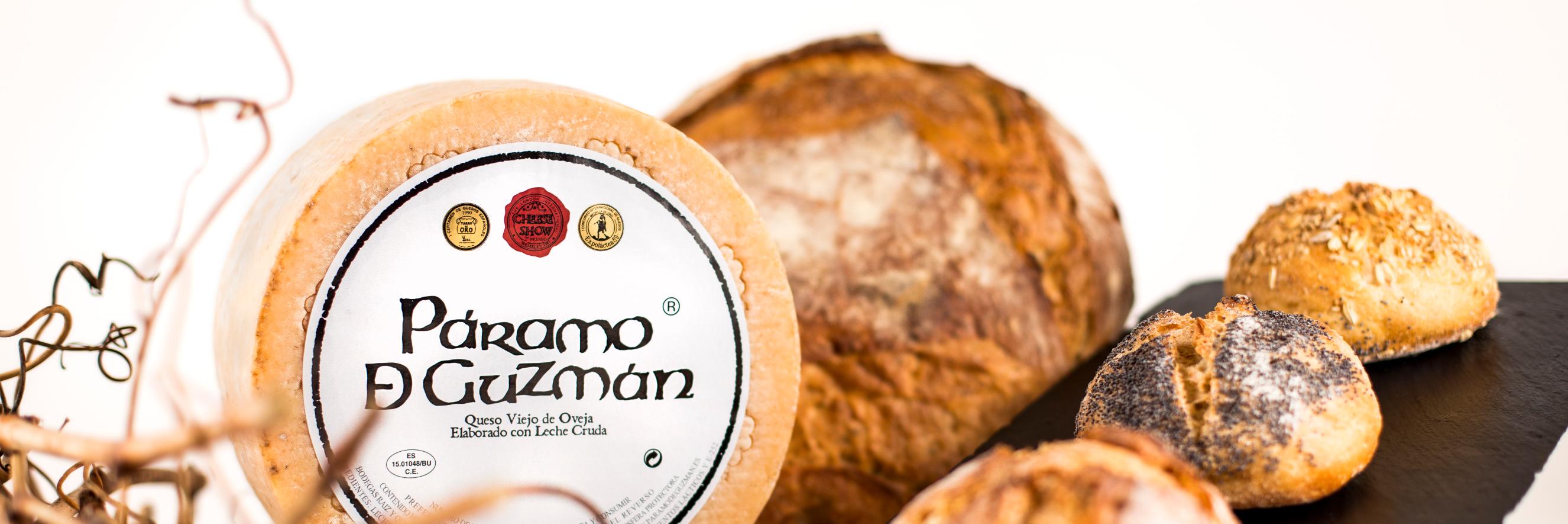 ParamoGuzman's profile banner image
