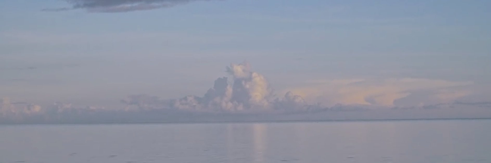 나라는 법과 정의가 아닌 타락한 권력에 의해 움직인다. banner