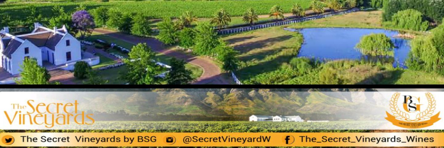 SecretVineyardW's profile banner image