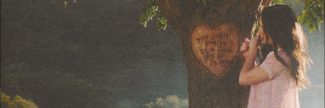 petalbibble's profile banner image
