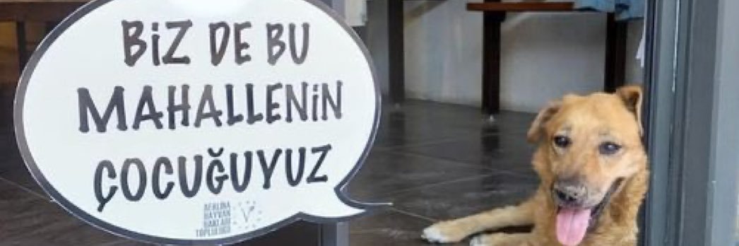 feray_inan's profile banner image