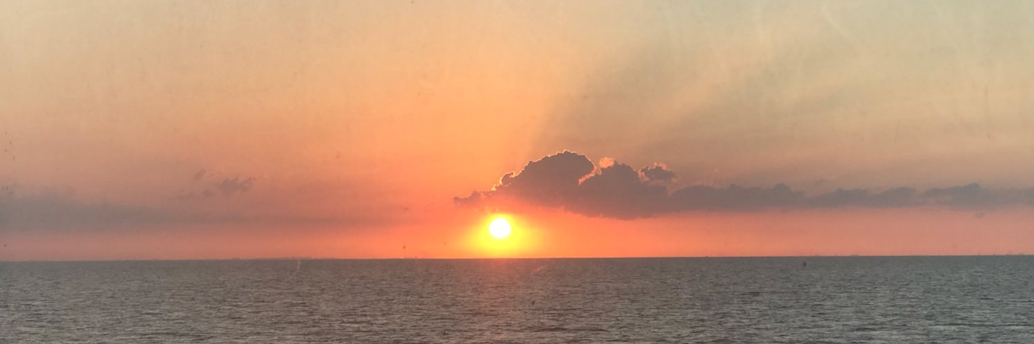 guscappuccio's profile banner image