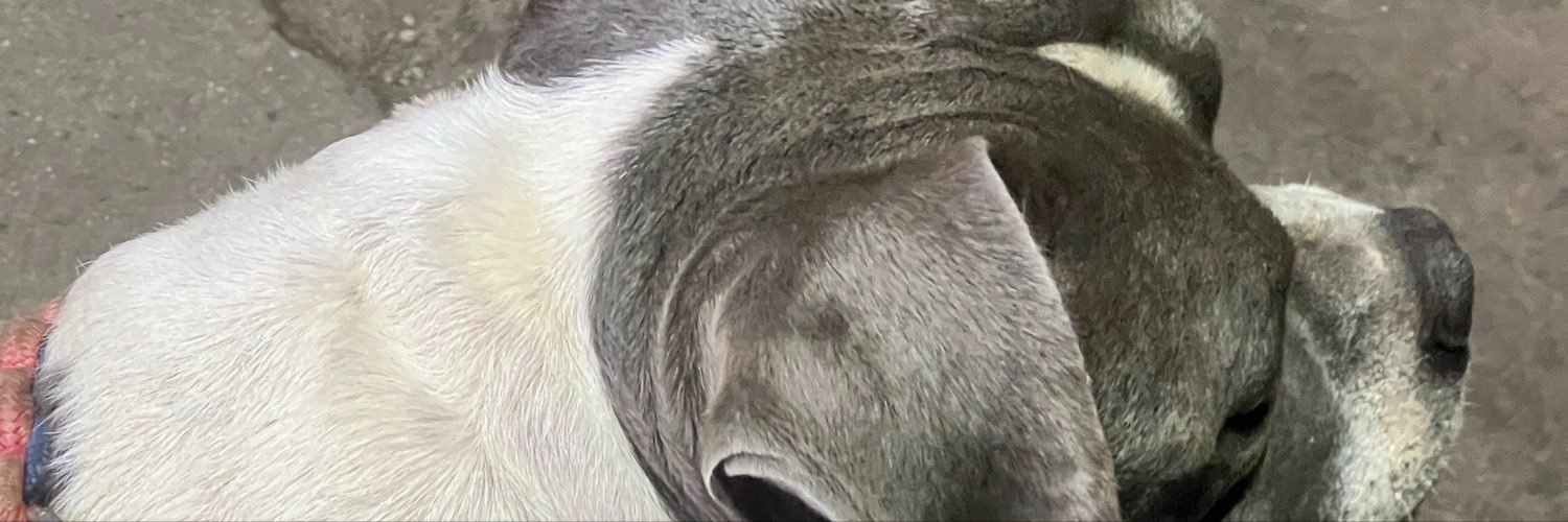 Hjcm08's profile banner image
