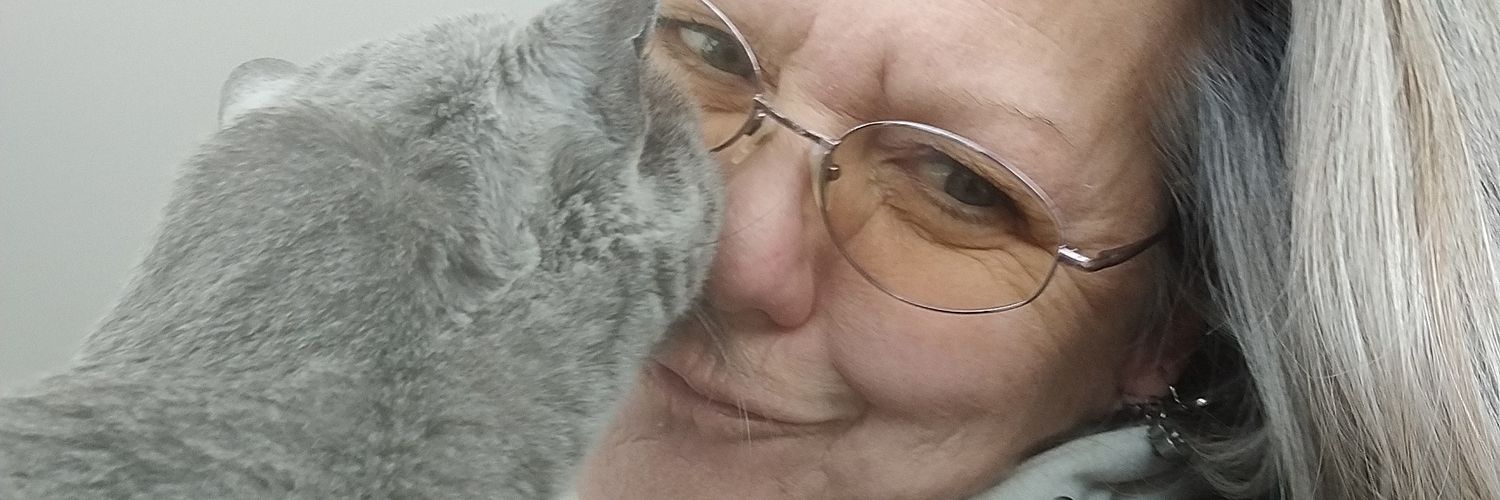 ALHPTS's profile banner image