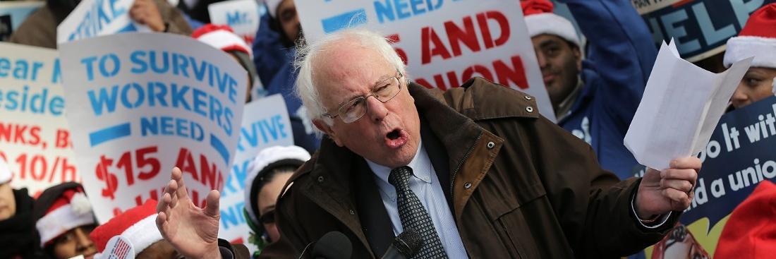 New Zealand 4 Bernie banner