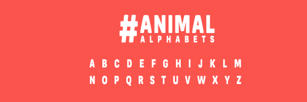AnimalAlphabets Profile Banner