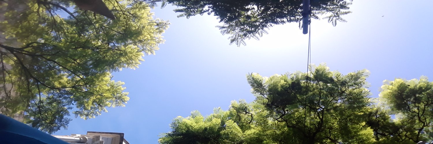 RomanbuenaBj's profile banner image