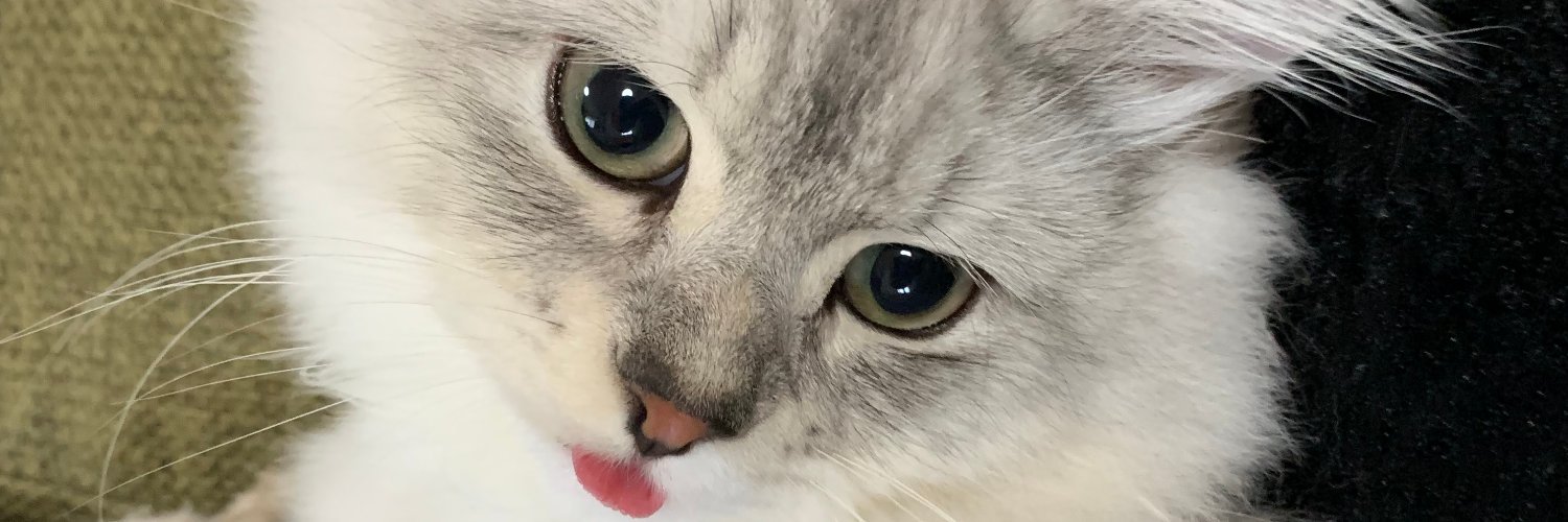 まっつん banner