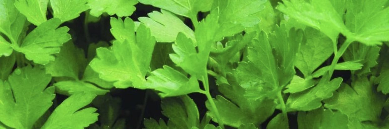 tommym2001's profile banner image