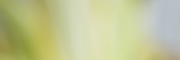 closed034 Profile Banner