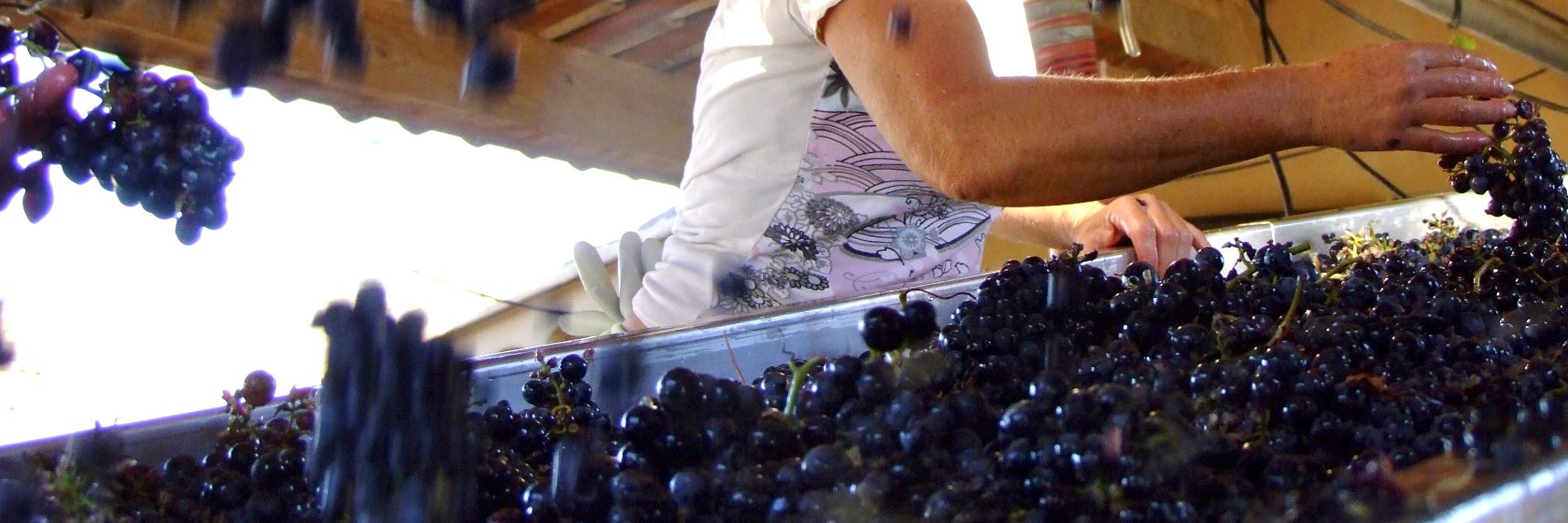 Domaine de Mourchon banner