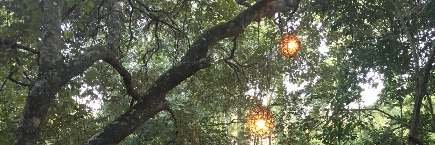SilvanaScheid's profile banner image
