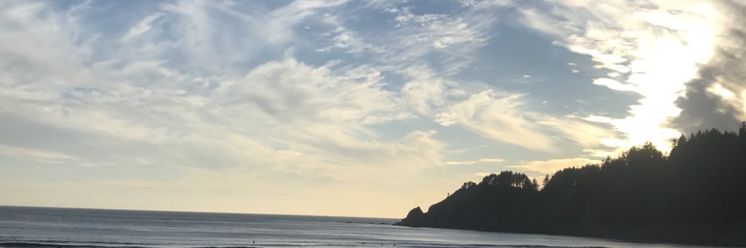 RVCA225's profile banner image