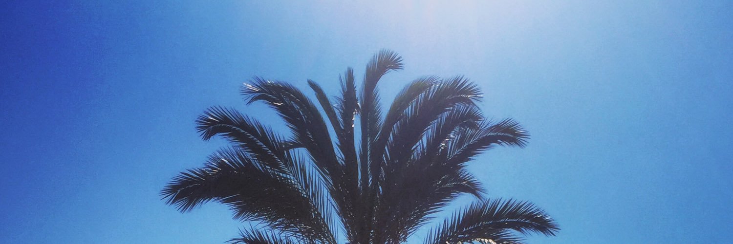FlorentAlex's profile banner image