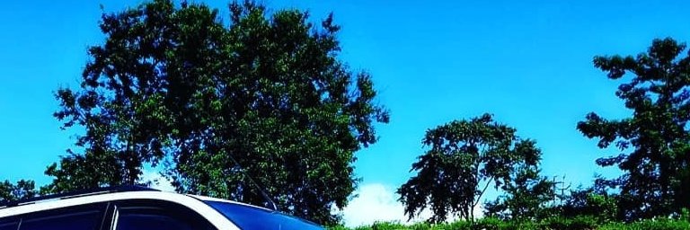 doly_dol's profile banner image