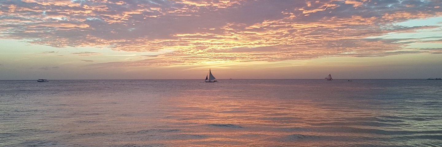 Tim Wilkinson banner