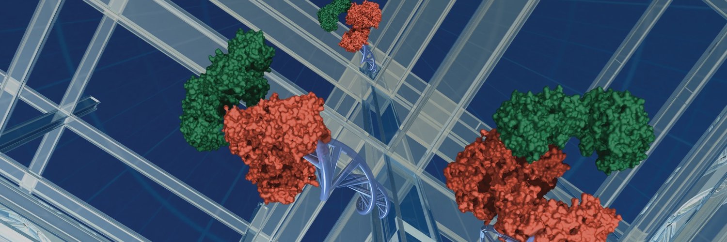 Yuhe Renee Yang banner