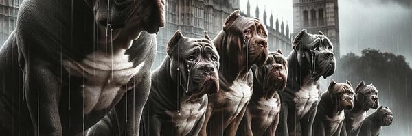 notgilbang Profile Banner