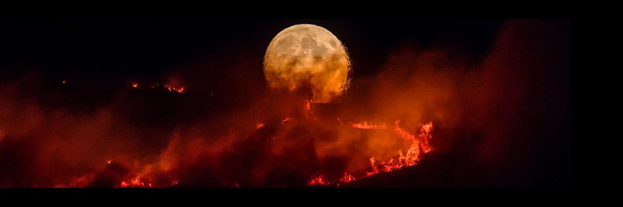 Anthony Devlin banner