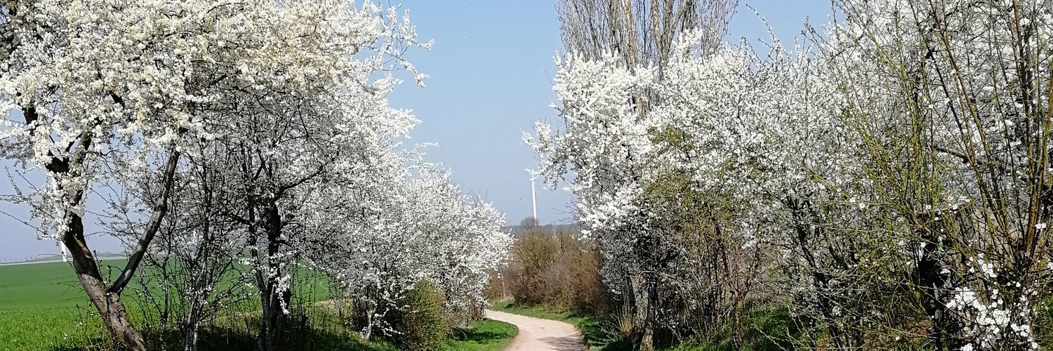 itsphipp's profile banner image