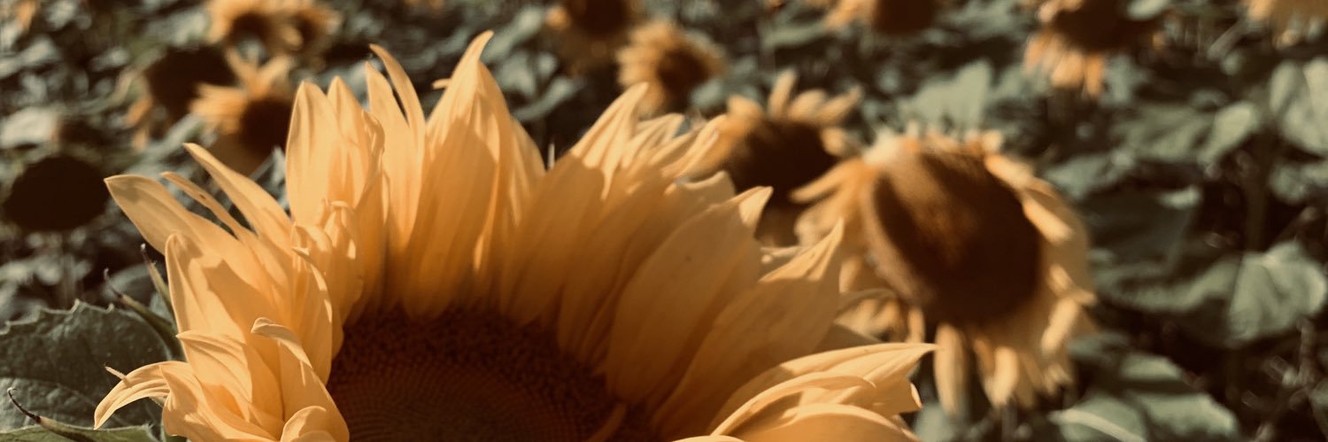 tascott01's profile banner image