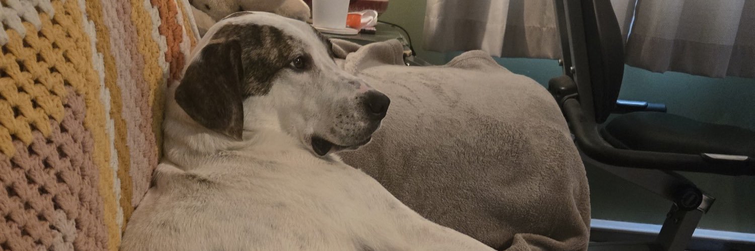 Culture 🇺🇸 banner