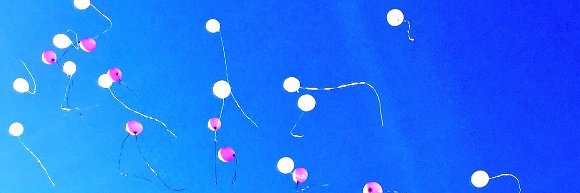 Guy Fieri enthusiast banner