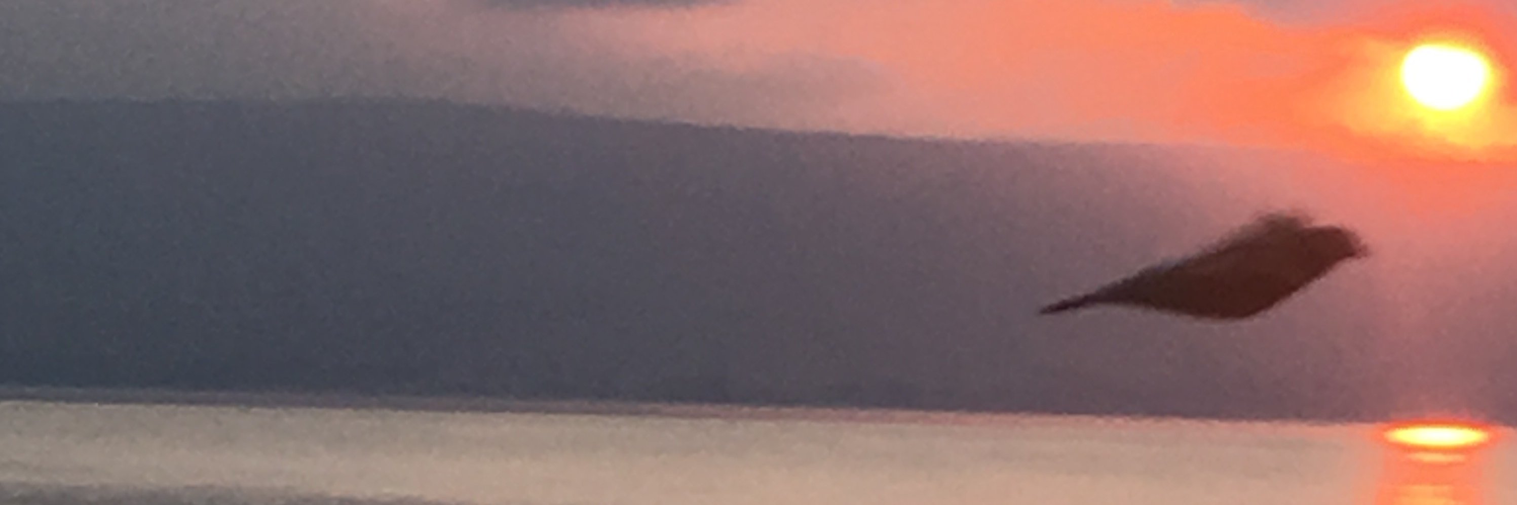 johnreason's profile banner image