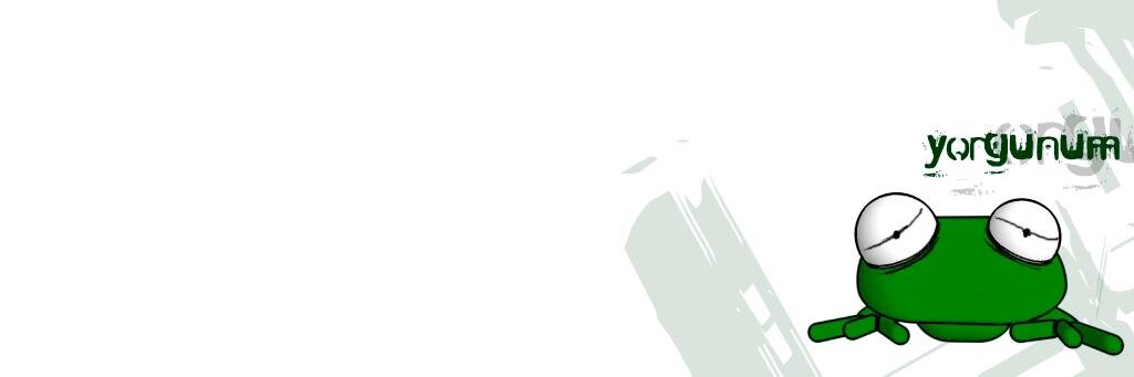 Tollga's profile banner image