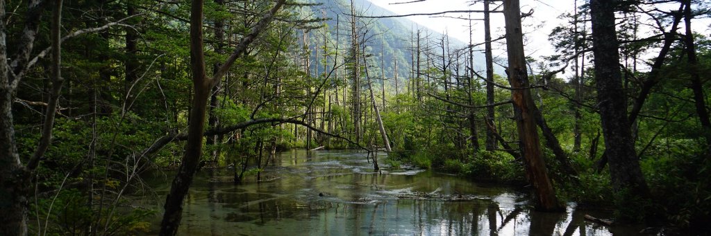 Lan Wang-Erlandsson banner