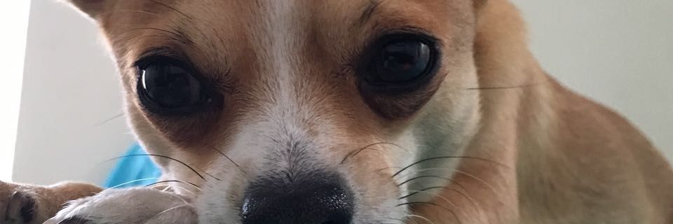 AlejandroPrez2's profile banner image