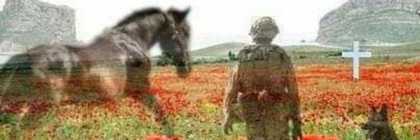 Linda Magix T 🎗🗣🐾💚🤍💜 banner