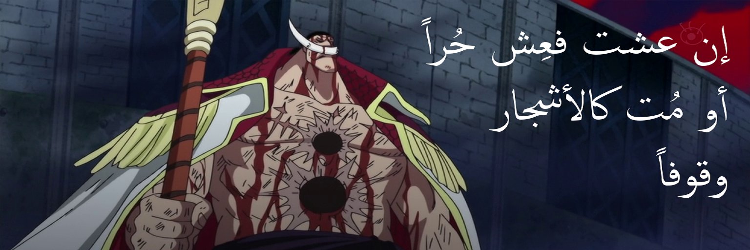 Q8othug's profile banner image