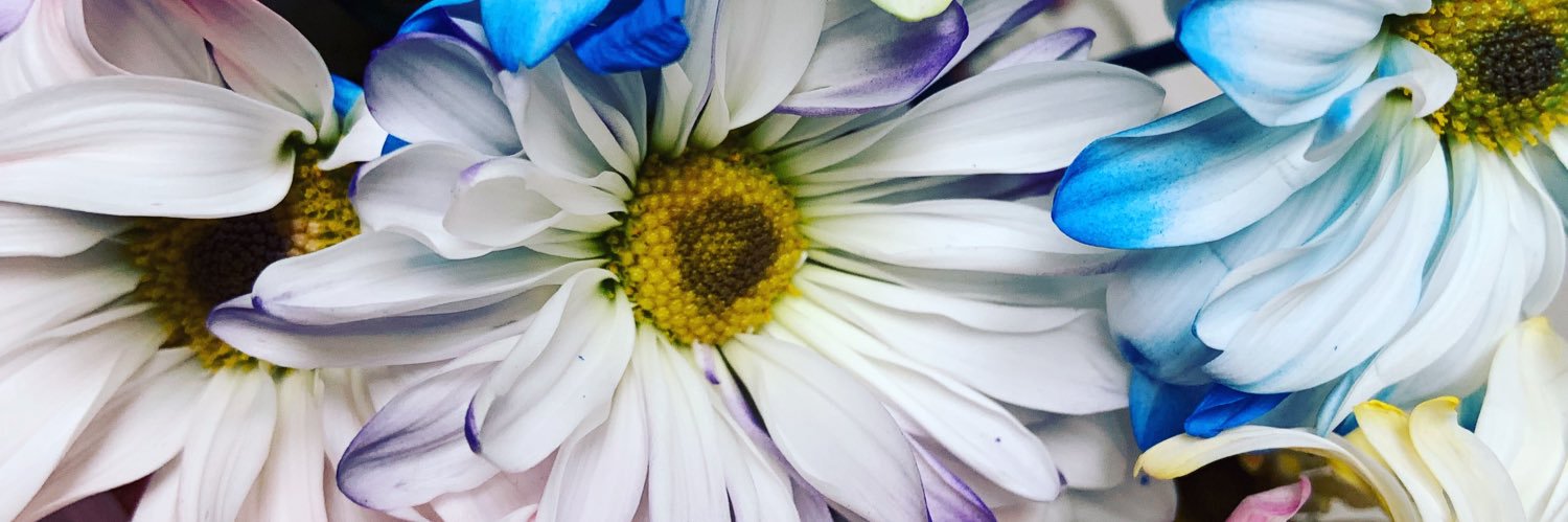 RealBettyCocker's profile banner image
