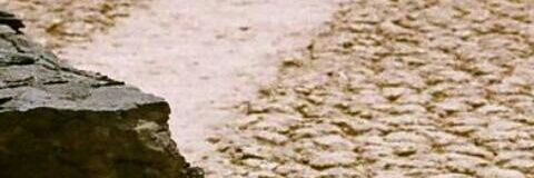 jomargo77's profile banner image