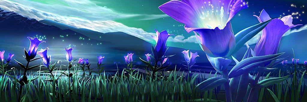 ccyoke's profile banner image